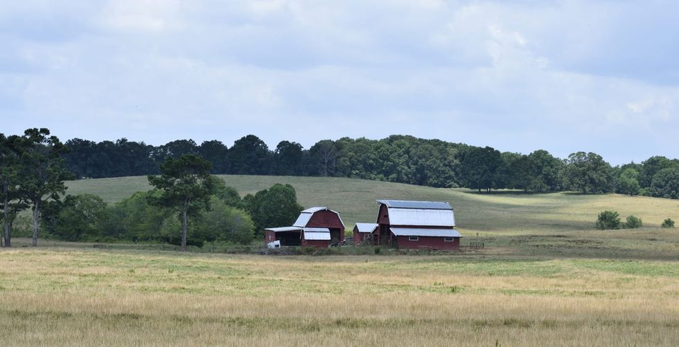 Controversial rural jobs program generates hundreds of jobs: report