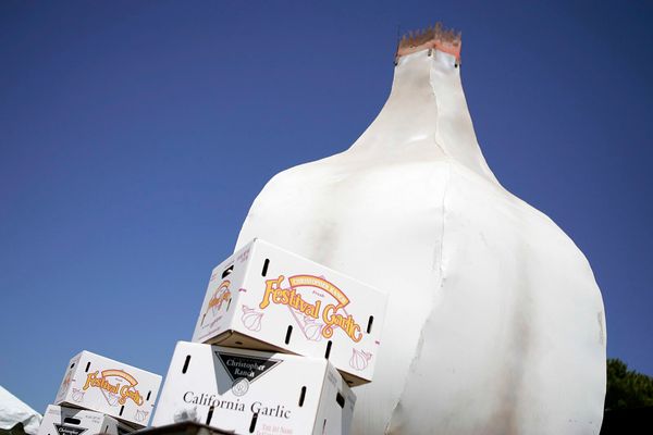 Is the Gilroy Garlic Festival back on? Major California operator says it will save event