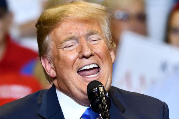 'Weak and feeble man': Three ex-Trump staffers fear second term would mean democracy's end