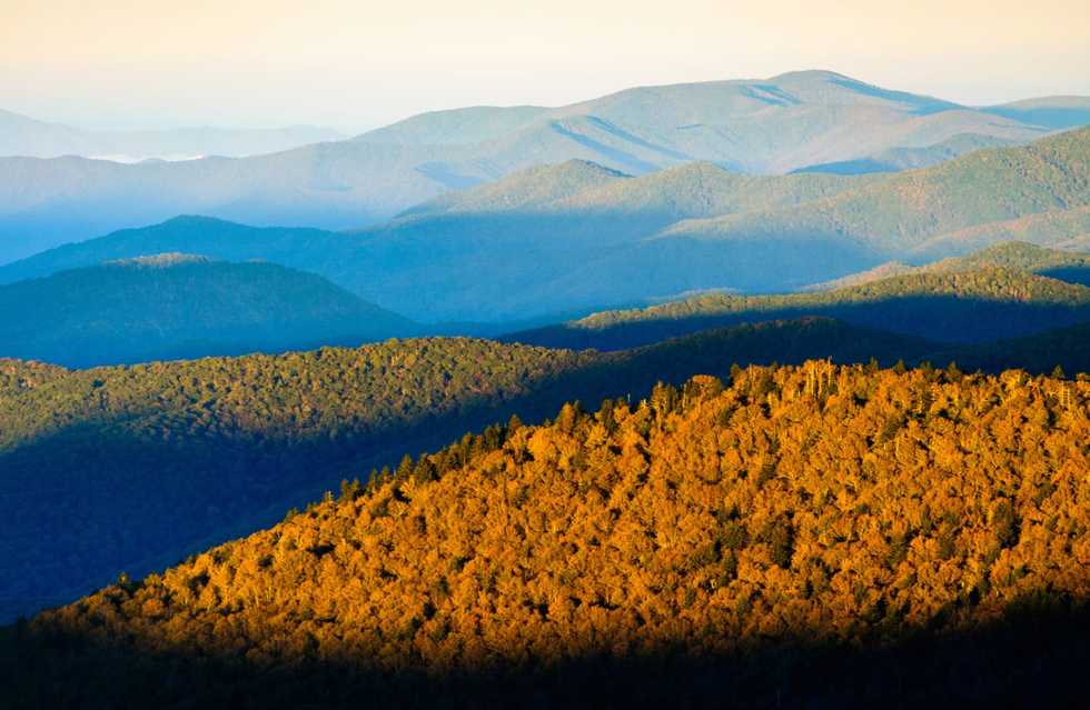 350-pound bear rips into sleeping family’s tent in Smoky Mountains, claws mom and child