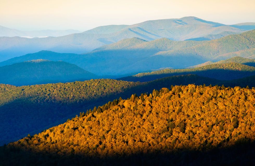 350-pound bear rips into sleeping family's tent in Smoky Mountains, claws mom and child - Raw Story - Celebrating 18 Years of Independent Journalism - Vimarsana News