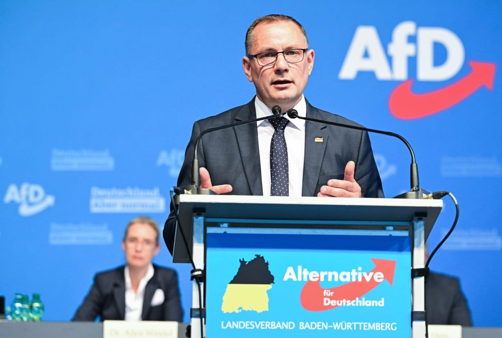 German far-right party head slams domestic intelligence agency 