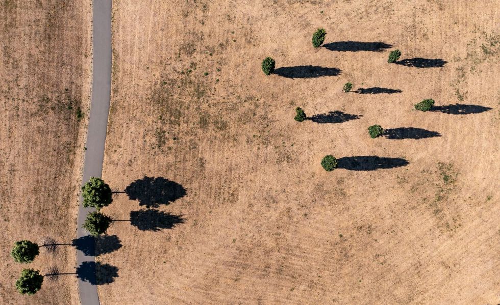 Heatwave comes to Germany as forest fire alert level raised