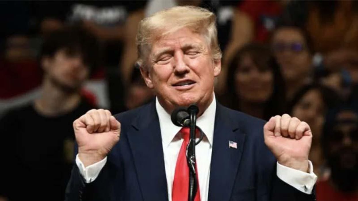 'I don’t want four more years of that': Trump 2020 voter dreads him back in office and tweeting again