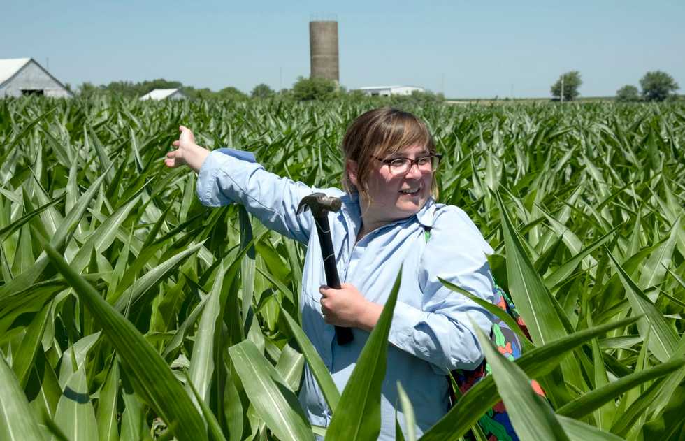 Caterpillars are destroying Missouri fields. But pheromones might stop them