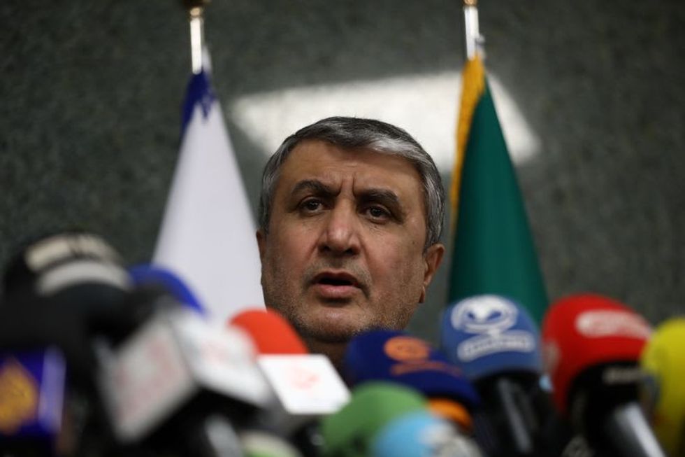 Iran nuclear chief: We have technical means to produce atom bomb, no intention of doing so