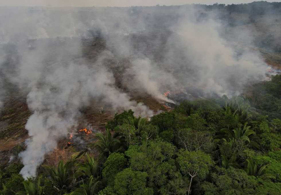 Causes and consequences of Amazon fires and deforestation