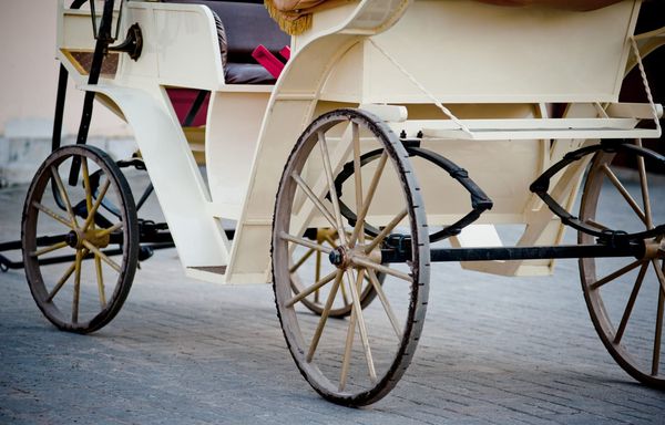 Following the collapse of NYC carriage horse, a witness, councilman and animal rights activists call on DA to probe industry