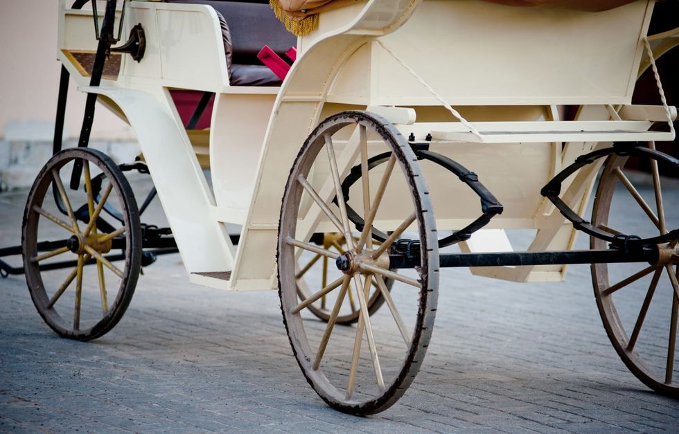 Following the collapse of NYC carriage horse, a witness, councilman and animal rights activists call on DA to probe industry