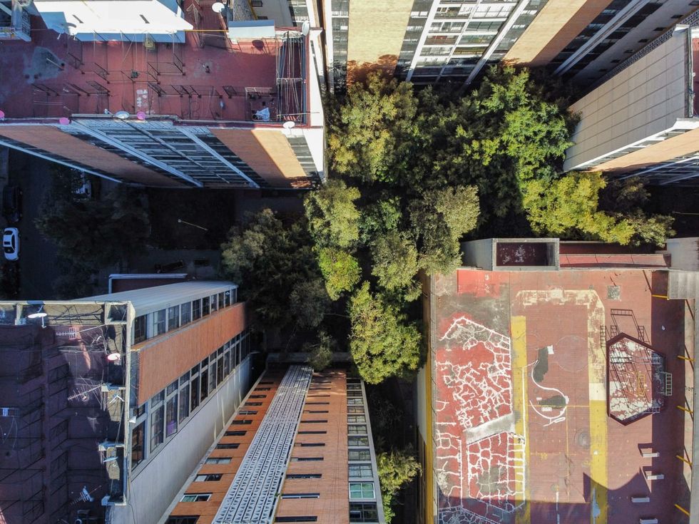 Americans are flooding Mexico City. Some locals want them to go home - Vimarsana News