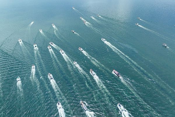 UN session on high seas biodiversity ends without agreement