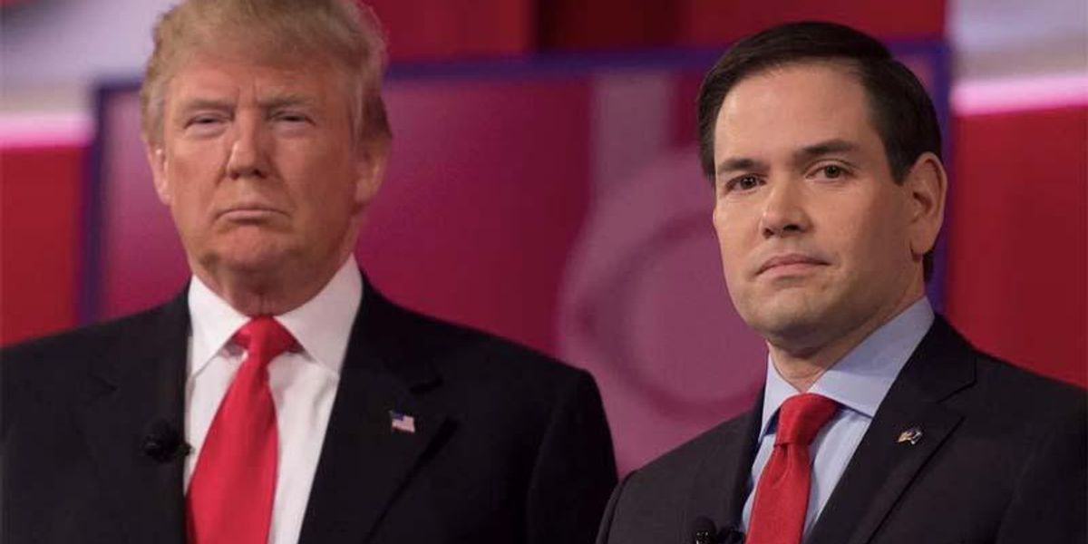 'Contempt': Analysis shows how Marco Rubio 'really feels' about other Trump V.P. hopefuls