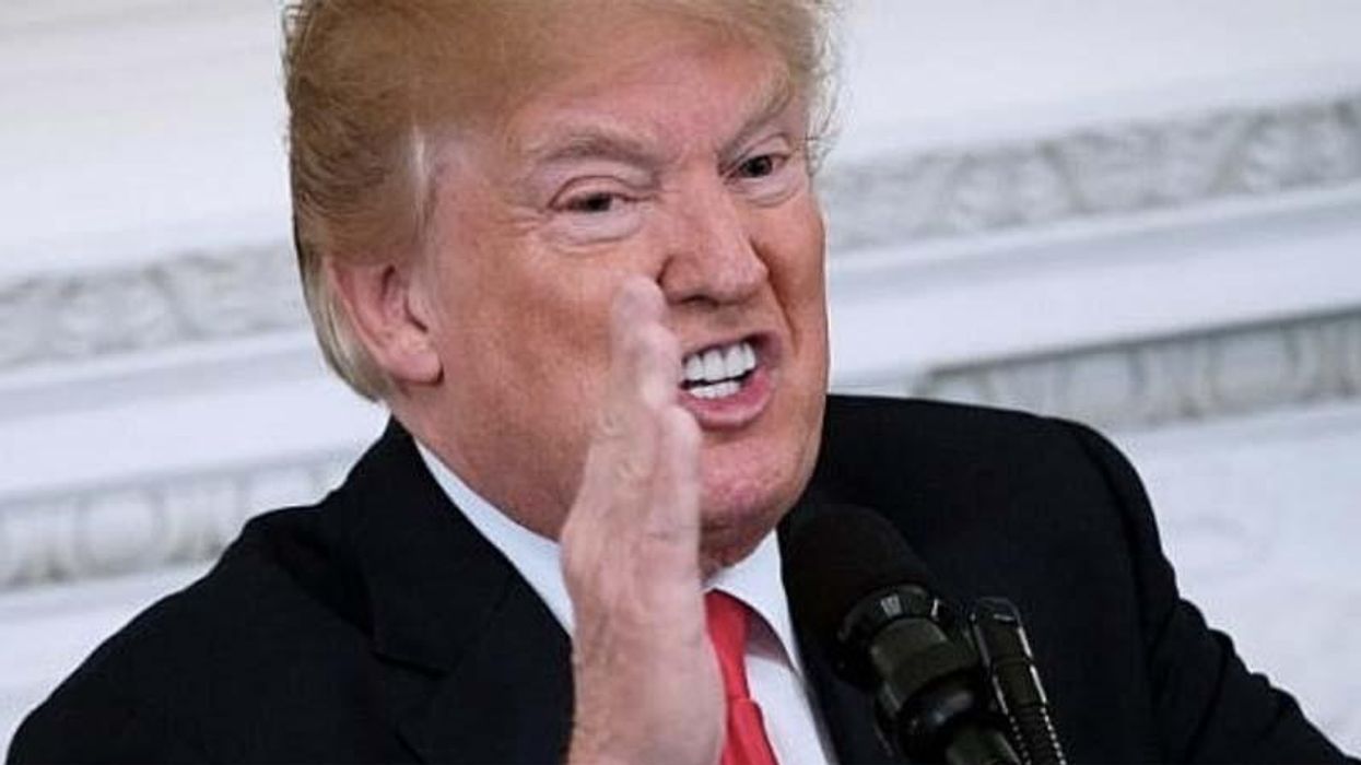 'Unhinged' Trump's response to DOJ appeal exposes split with his lawyers: analyst