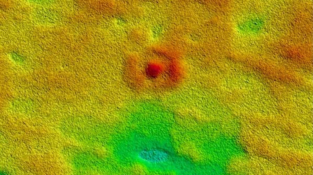 A giant ‘bullseye’ on the Nullarbor Plain was created by ancient sea life