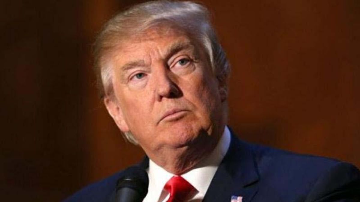 Trump's court-packing is paying off with 'eccentric' judges handing down 'envelope-pushing rulings': report