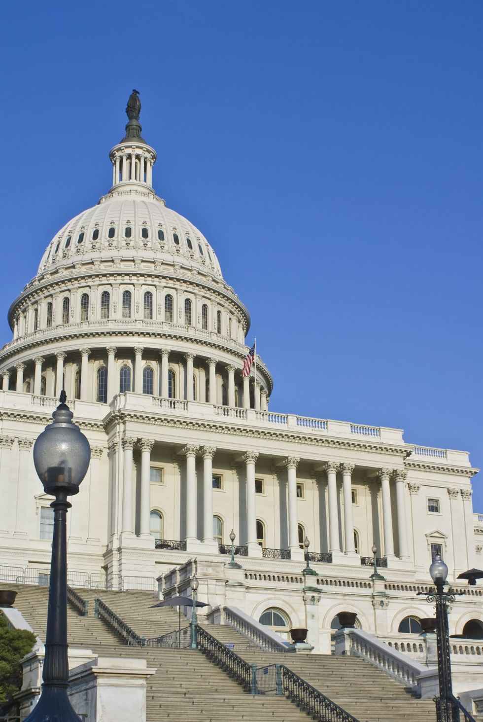 Stock-trading bans for Congress are common sense. So why won't they do it?