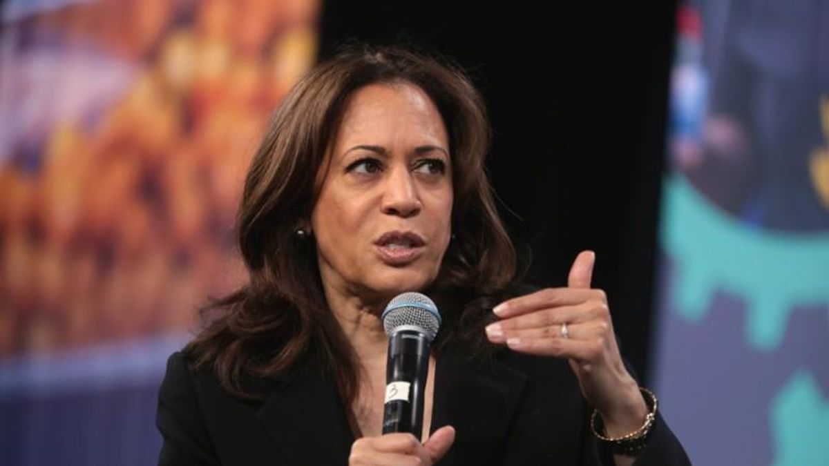 'Immoral' Texas abortion ban called out by VP Harris in Austin