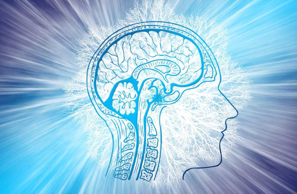 Scientists are closer to understanding the mystery of déjà vu thanks to new virtual reality research