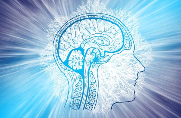 Scientists are closer to understanding the mystery of déjà vu thanks to new virtual reality research