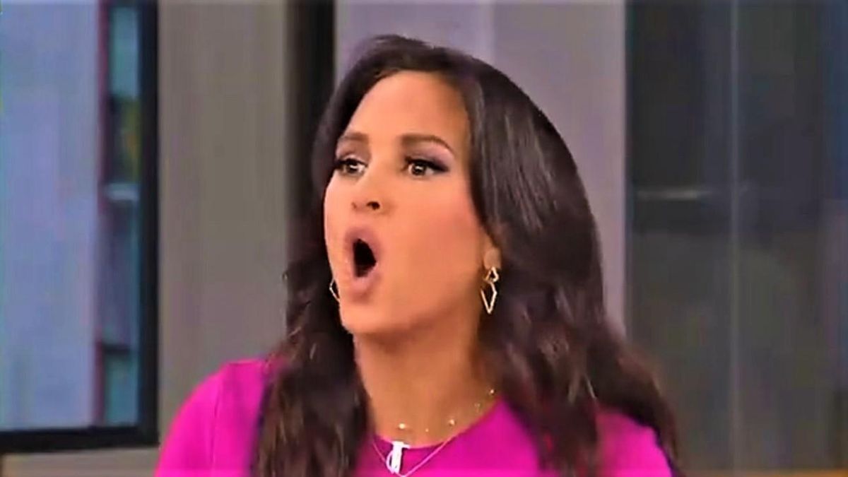 'They need a slap in the face!' Fox News panel throws a fit about college kids bringing cats into dorms