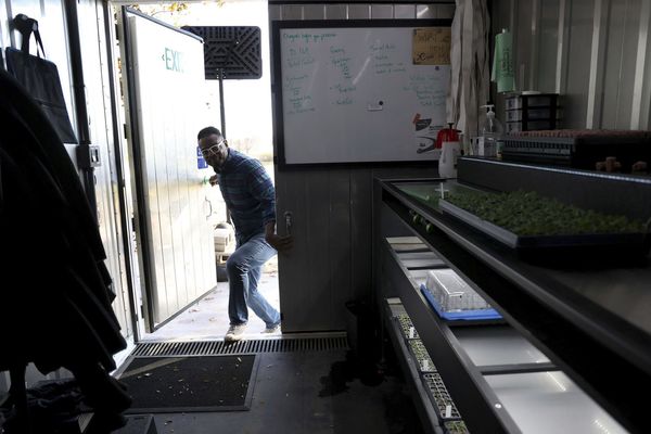 Hydroponic farm owner seeks to democratize the food system and change the narrative
