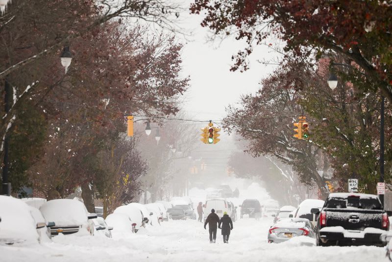Snowstorm batters western New York, restricting travel ahead of busy Thanksgiving holiday - Vimarsana News