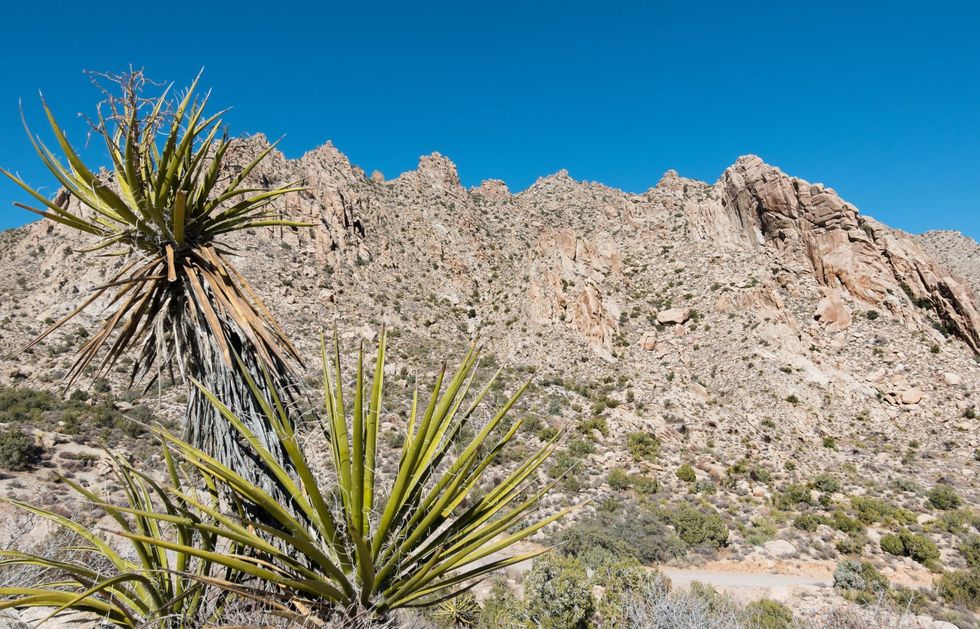 Biden announces new national monument near Nevada-California border