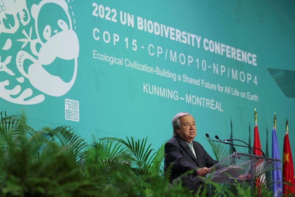 U.N. chief urges strong global nature deal to end 'orgy of destruction'
