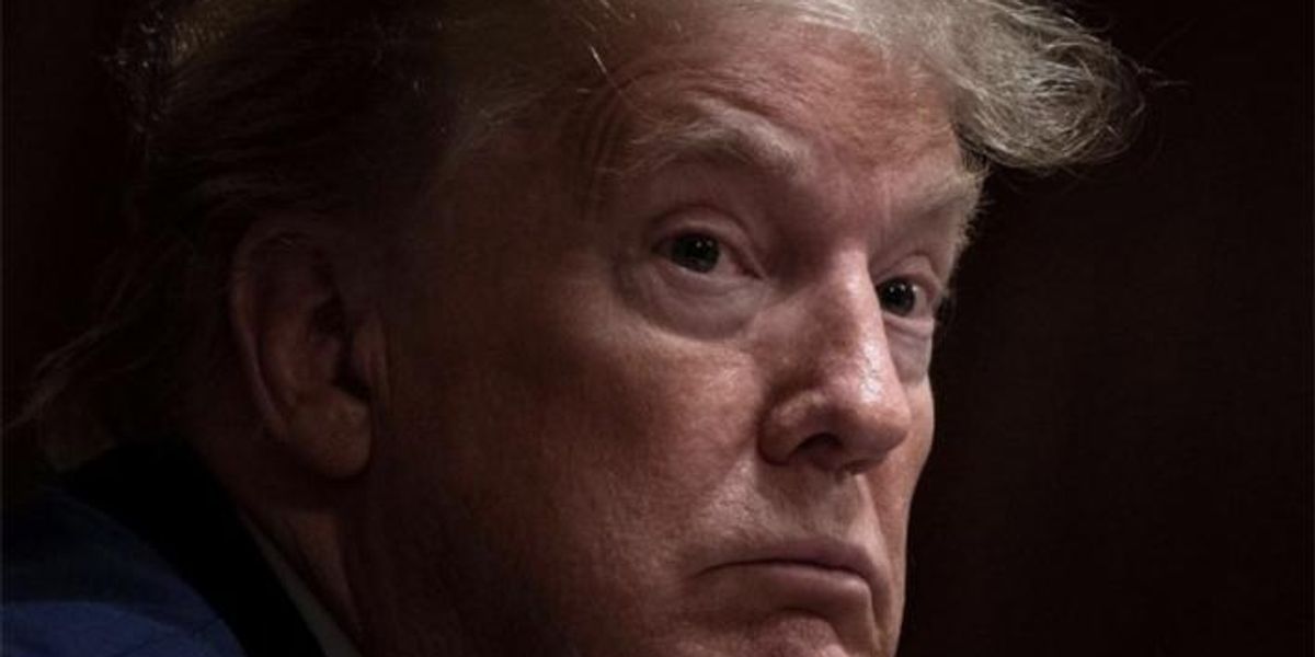 'He backs down': Trump biographer who won massive lawsuit shows how to beat him in court