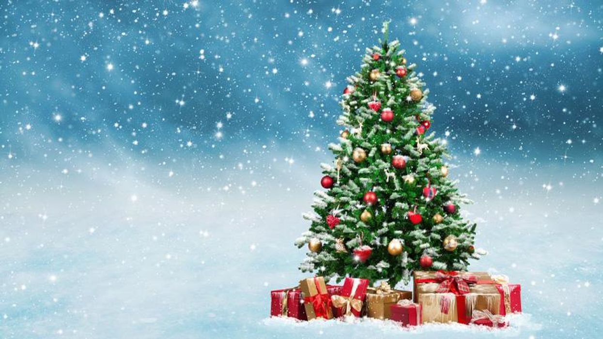 The Christmas tree is a tradition older than Christmas