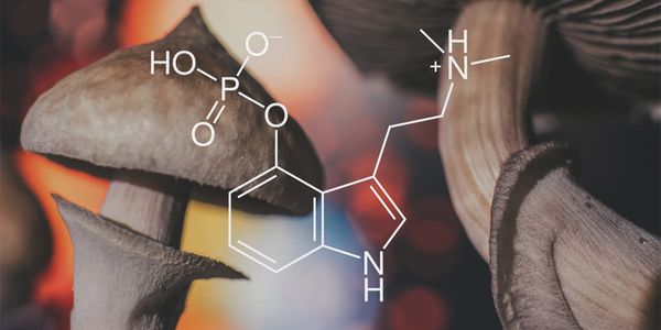 A single dose of psilocybin improves depression in treatment-resistant patients, but with adverse effects