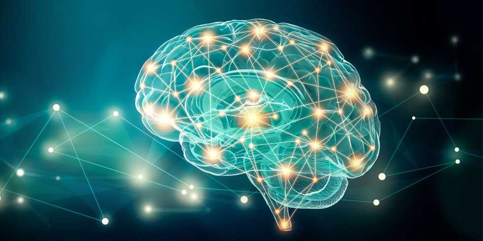 Alteration to brain node topology in persons with autism spectrum disorder starts at early age
