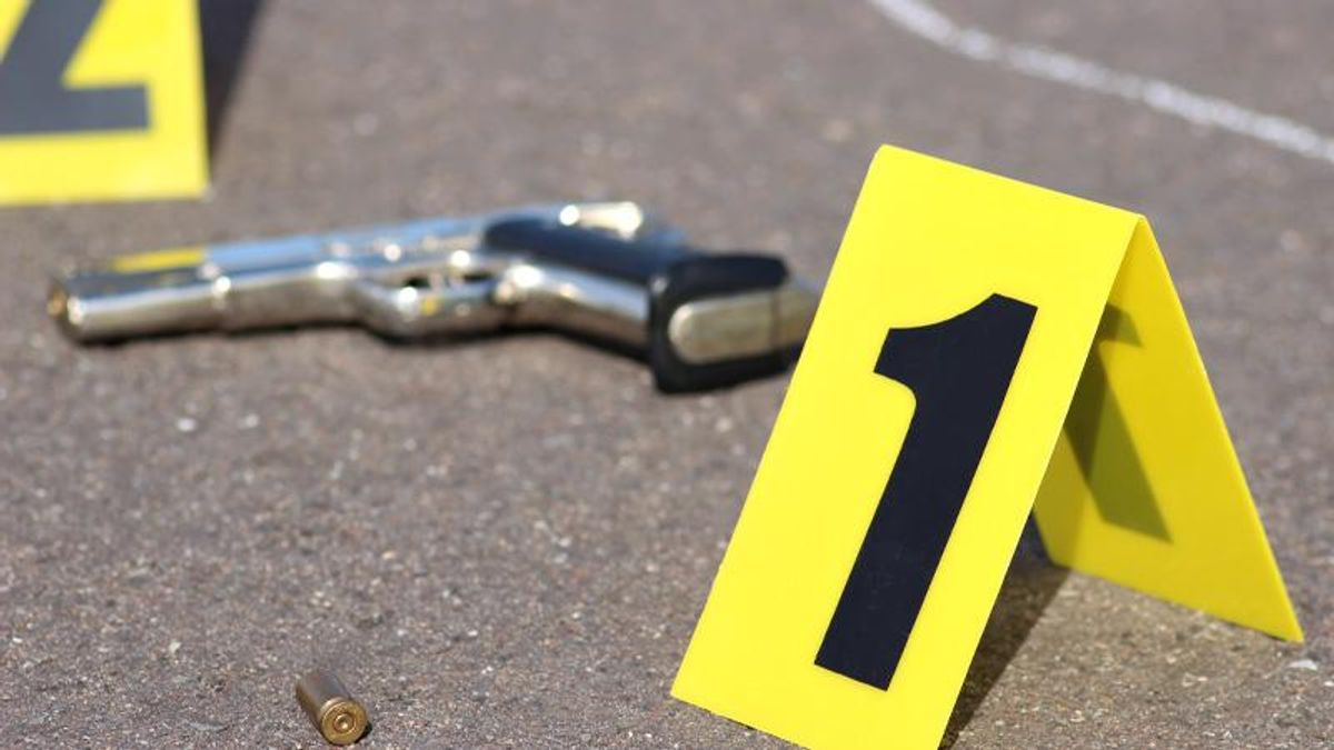 Road-raging motorist accidentally shoots himself after threatening lumber drivers