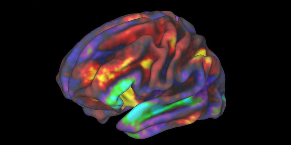 Children with autism show atypical neural activity when interacting with a humanoid robot, study finds