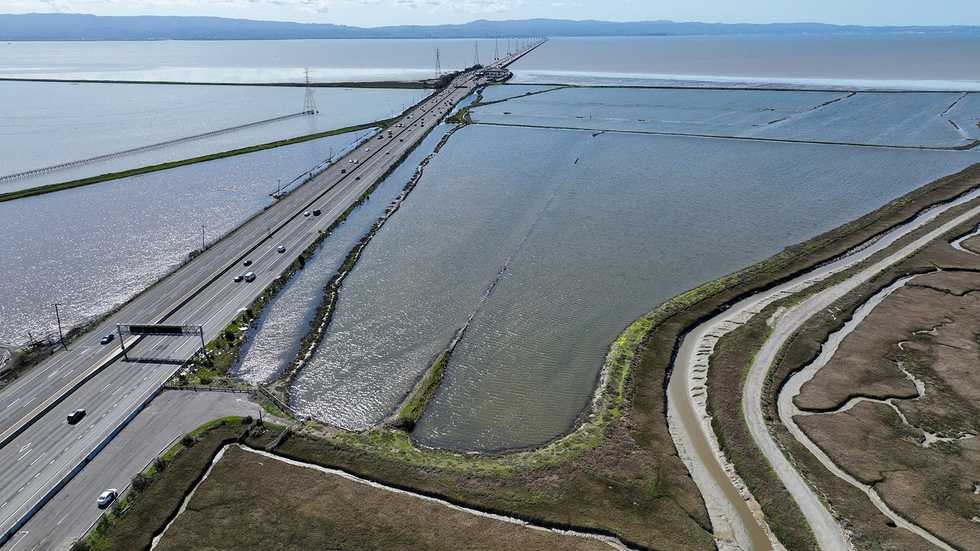 An ancient mound of shells has been mined in the San Francisco Bay for 100 years — but the oyster’s future is uncertain
