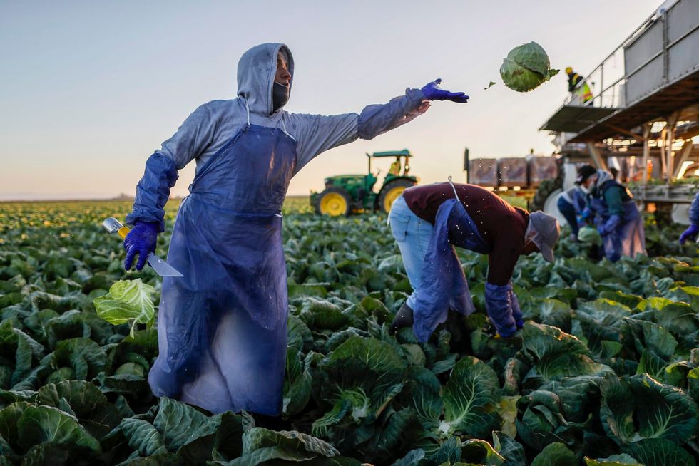 Undocumented California farmworkers would get path to state residency under new proposal