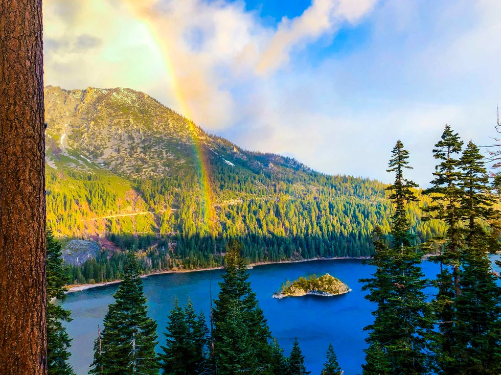 Lake Tahoe’s clarity is the best it’s been in 40 years. This animal is helping, UC Davis says
