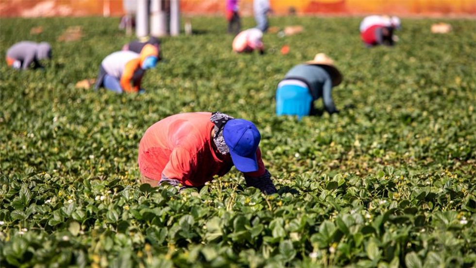 Iowa Republicans pass bill loosening restrictions on child labor
