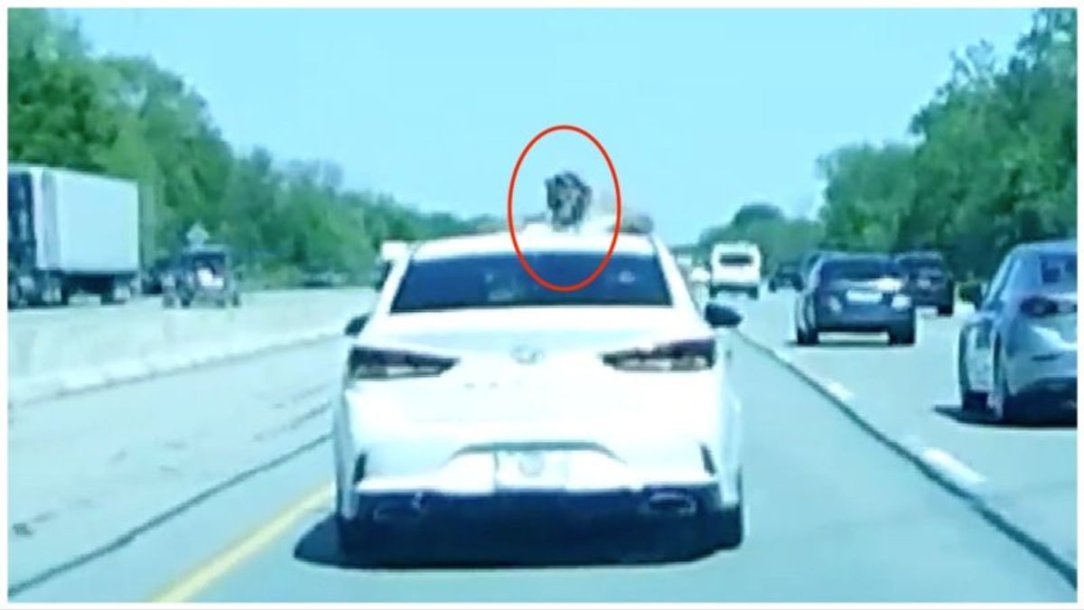 Shocking dashcam video shows driver point gun through sunroof during road rage incident