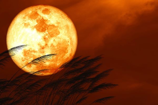 A Strawberry Moon will be visible this weekend. What it is and how to see it.