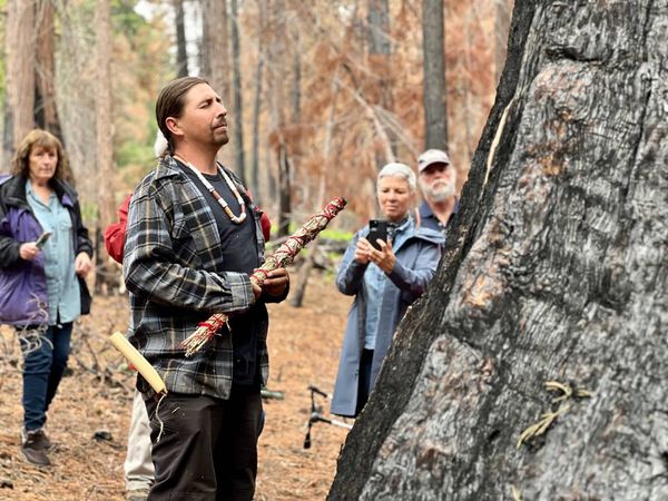 Centuries-old sequoias damaged during prescribed burn at California park. One may not survive