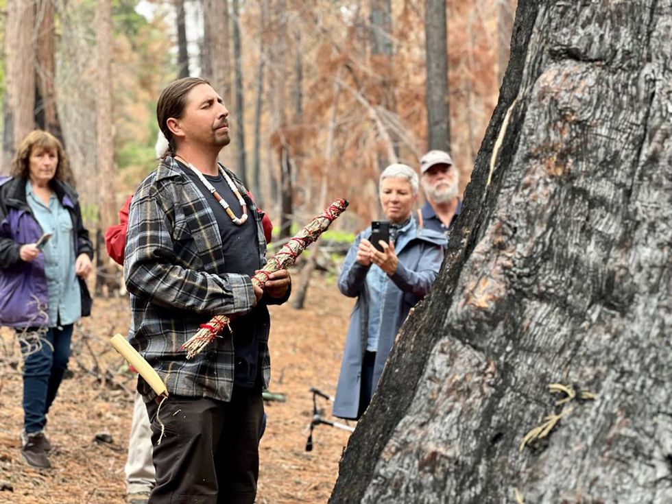 Centuries-old sequoias damaged during prescribed burn at California park. One may not survive