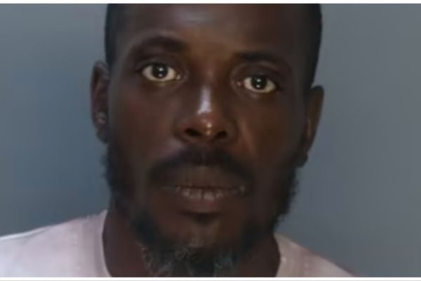 Florida man arrested for setting his home on fire and beating one of his 5 dogs with a wooden plank