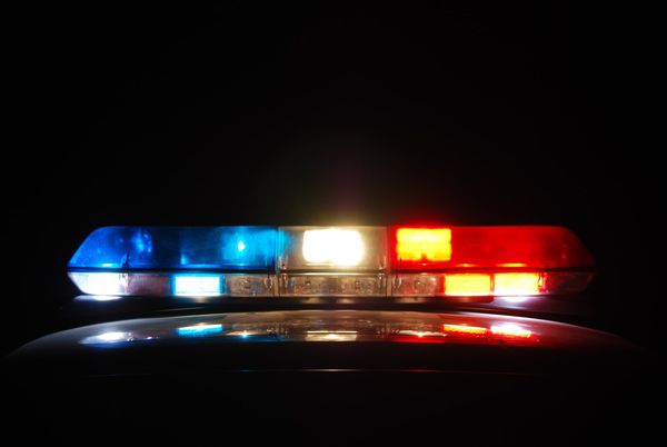 Chicago police say 2 babies found dead in garbage bag