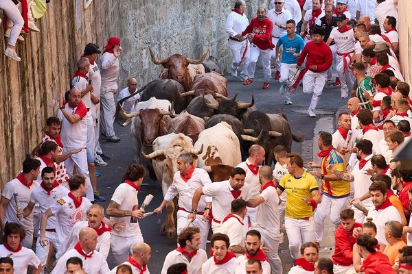 At least six injured during bull run in Spain