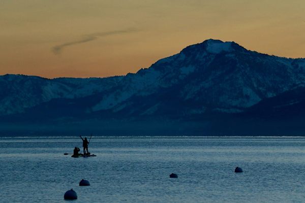 These nearly invisible organisms help clean Lake Tahoe’s water. Here’s how they do it