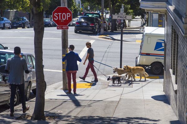 California’s an expensive place to live in — for dogs. See the priciest state to own a dog