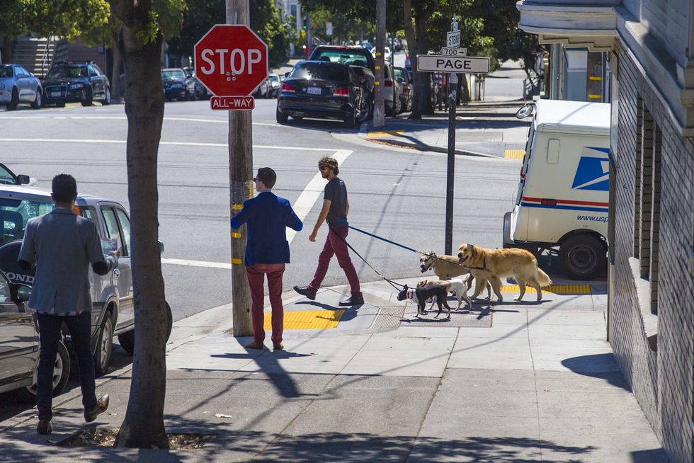 California’s an expensive place to live in — for dogs. See the priciest state to own a dog