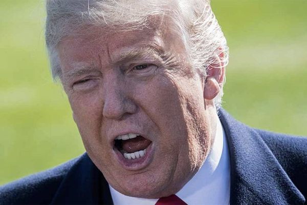 'Chronic distrust': Trump's lawyers are reportedly turning on each other out of paranoia