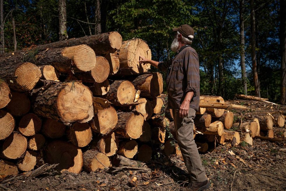 In Shawnee National Forest, a debate swirls around how to best protect trees amid climate change and wildfires